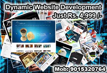 dynamic website development, responsive website template